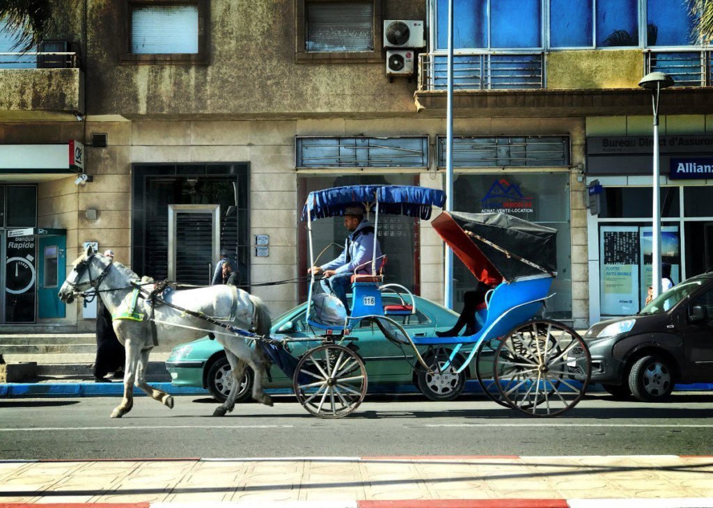 essaouira horse carriage,  
