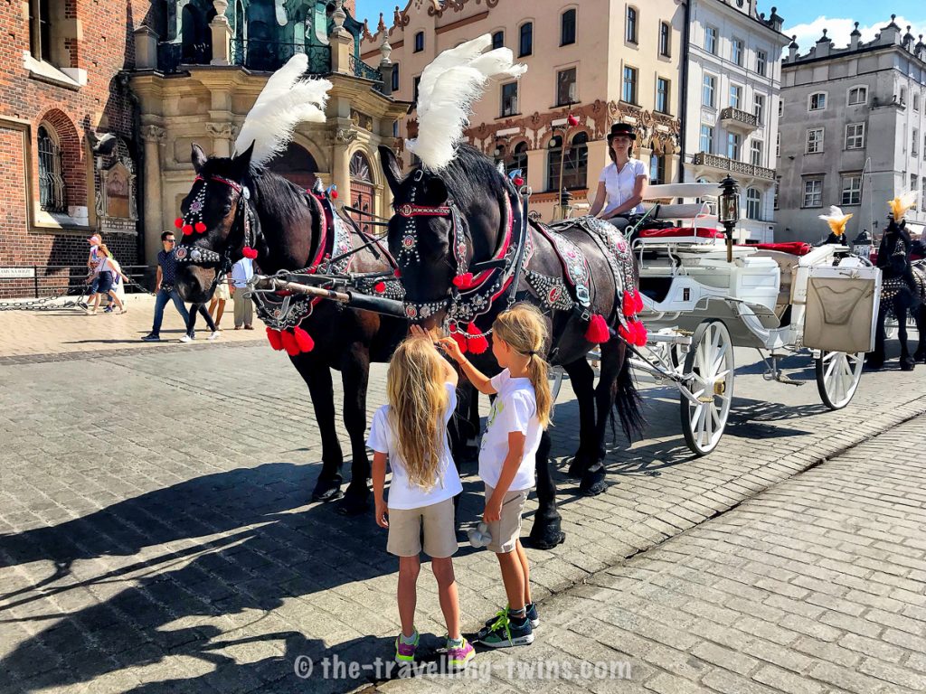 Krakow kids with horses carrage st mary's basilica in the background (old brick church)