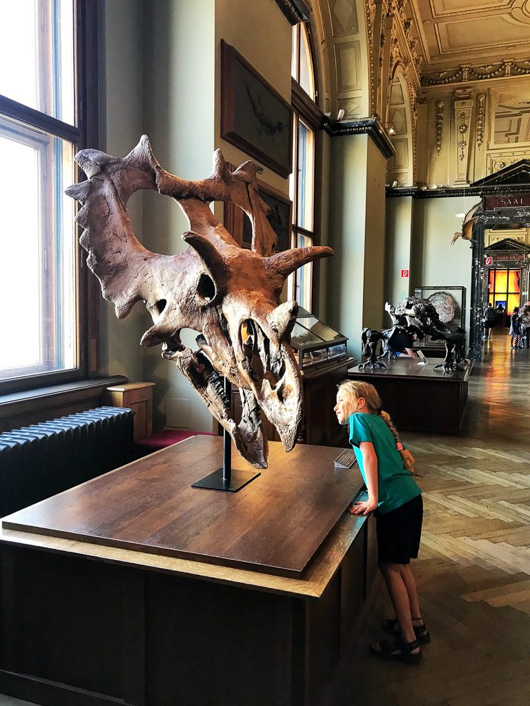 The Best Natural History Museums Around the World 12