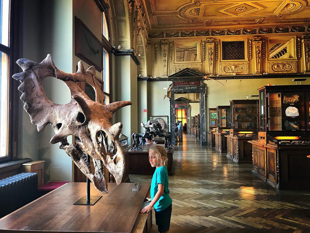 Natural History museum in Vienna
