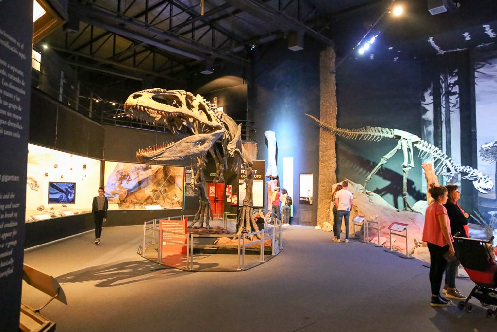 The Best Natural History Museums Around the World 21