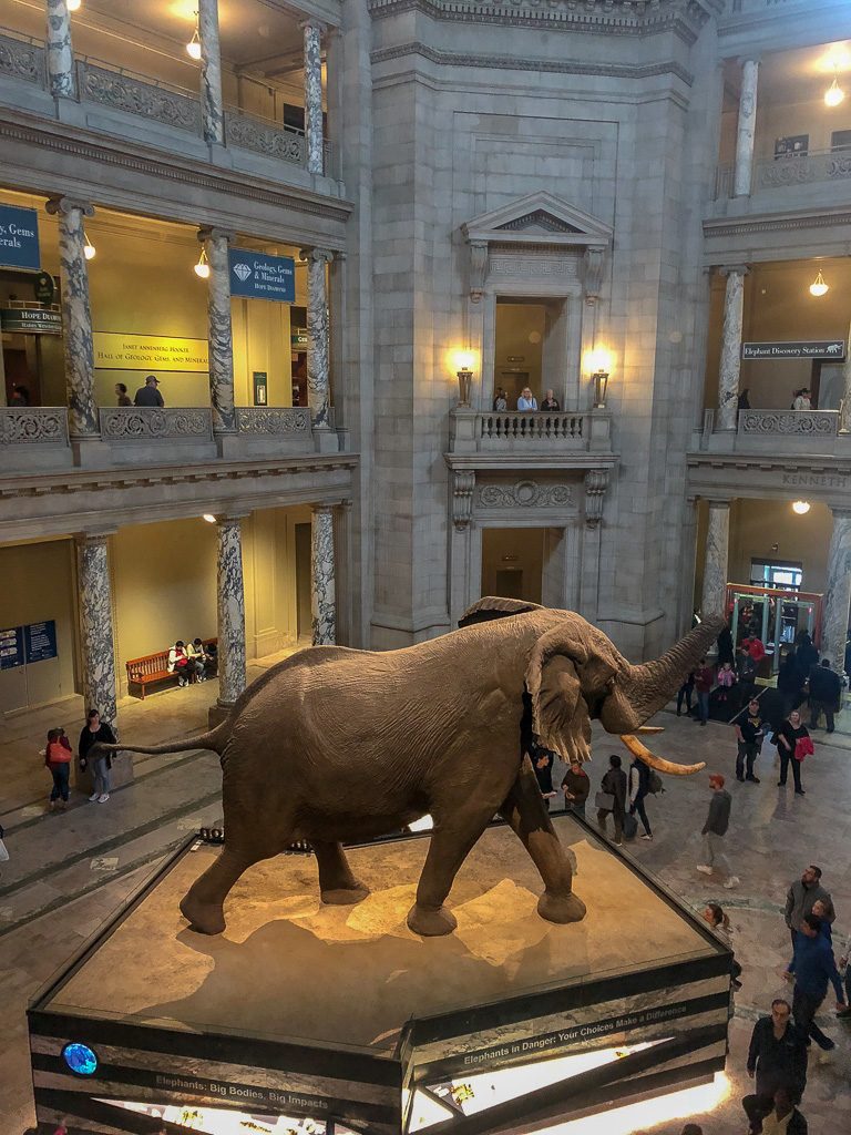 The Best Natural History Museums Around the World 13