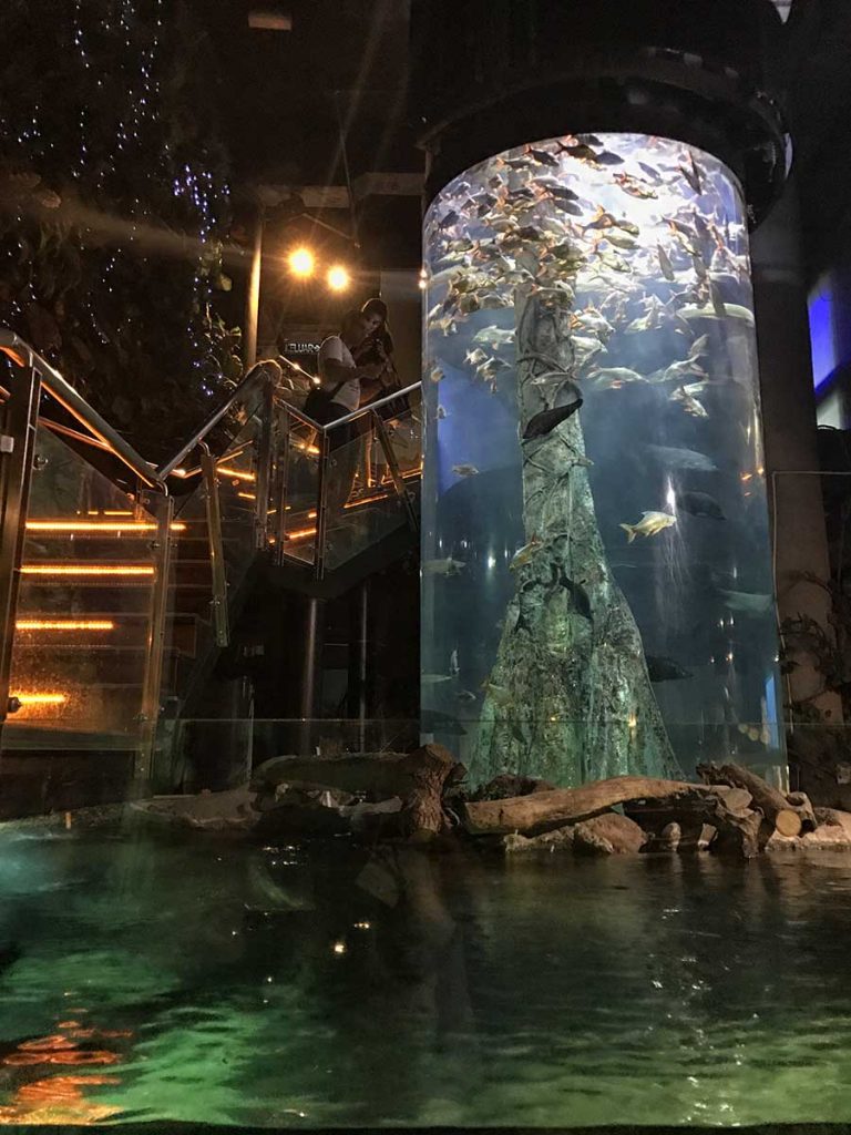 Best Aquariums in the World