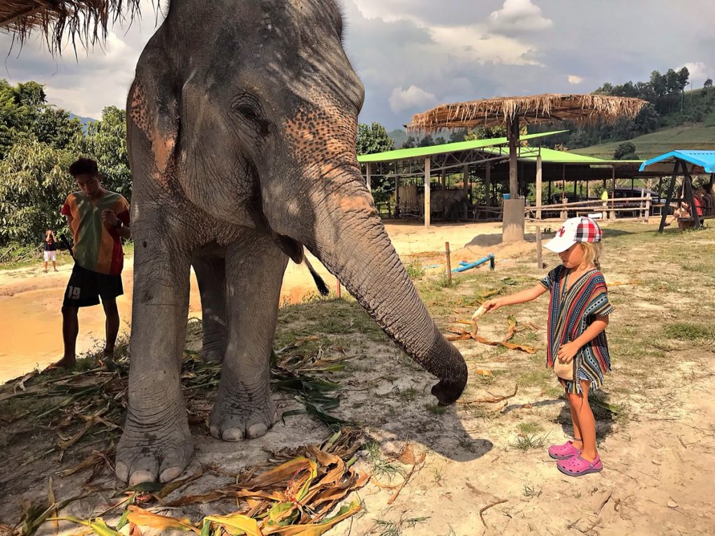 Elephant Jungle Sanctuary - girls feeding elephant 
