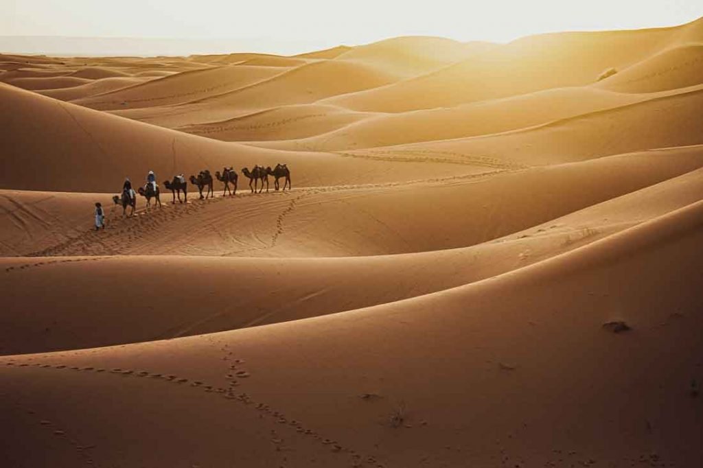 The Largest Deserts in the World 6