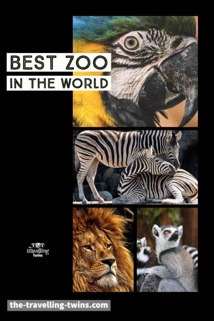 best zoo in the world, berlin Germany