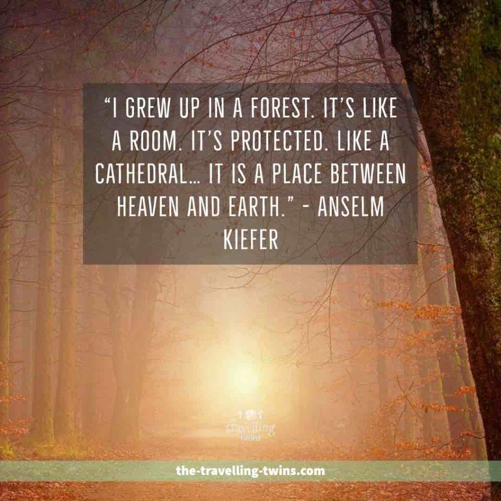 Quotes about Forests 19