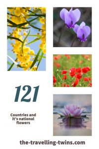 national flowers of countries