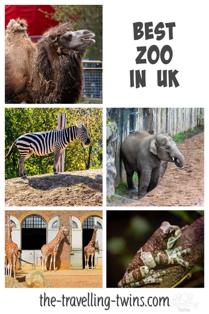Best Wildlife Parks and Best Zoos in the UK 5