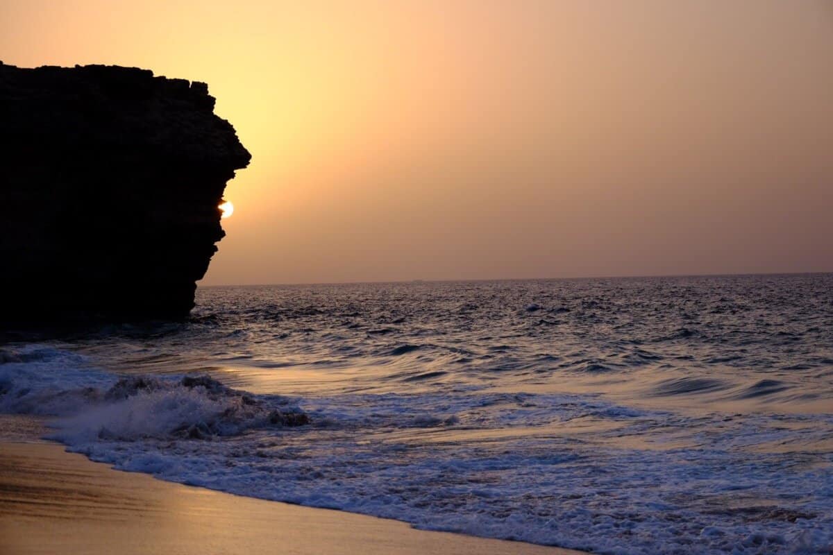 Wschód słońca na żółwiowej plaży, żółwie w Omanie