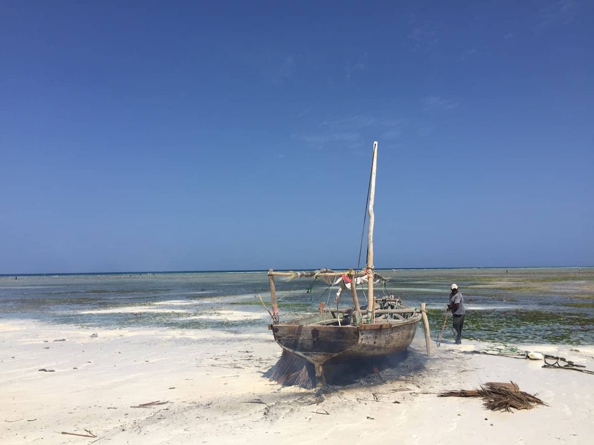 Zanzibar Adventure 7