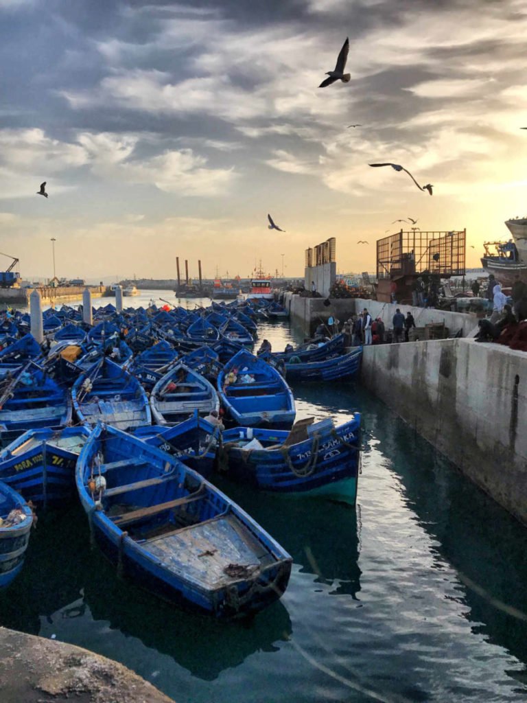 Visit Skala du port - best things to do in Essaouira