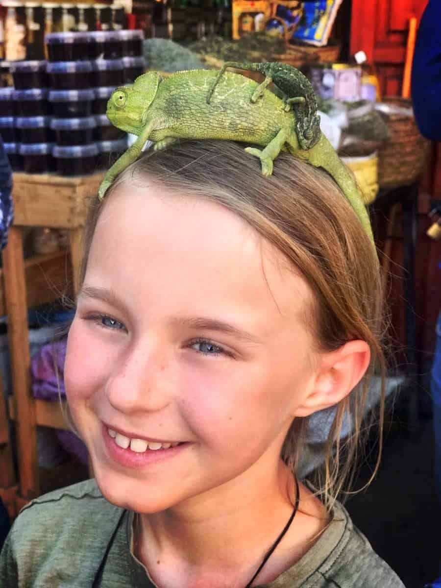 Marrakech with kids - best place in the Souq is the place where kids can hold Chameleon 
