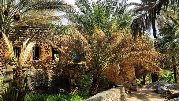 Misfat-al-Abriyeen oasis in Oman, oasis in the mountains