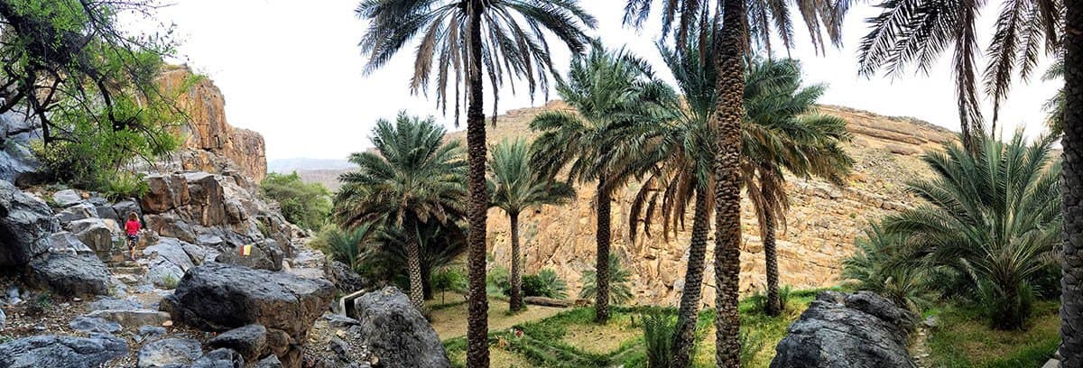 Misfat al Abriyeen Oman mud village
misfat al
years ago
date palms
al hamra
old house
misfat al abriyeen oman
day trip
