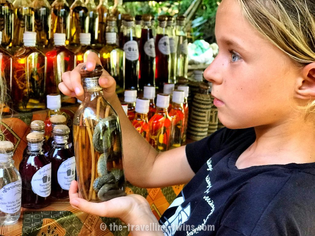 Things to do in Luang Prabang - With Kids or Without 9