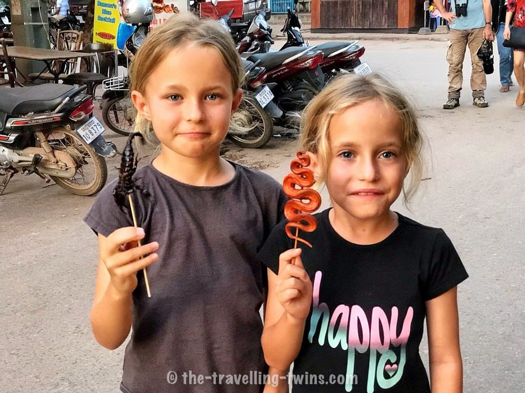 things to do in Siem reap with kids- strange food,  circus siem reap,  bus from siem reap to phnom penh,  siem reap accommodation,  where to stay in siem reap,  angkor wat entrance fee