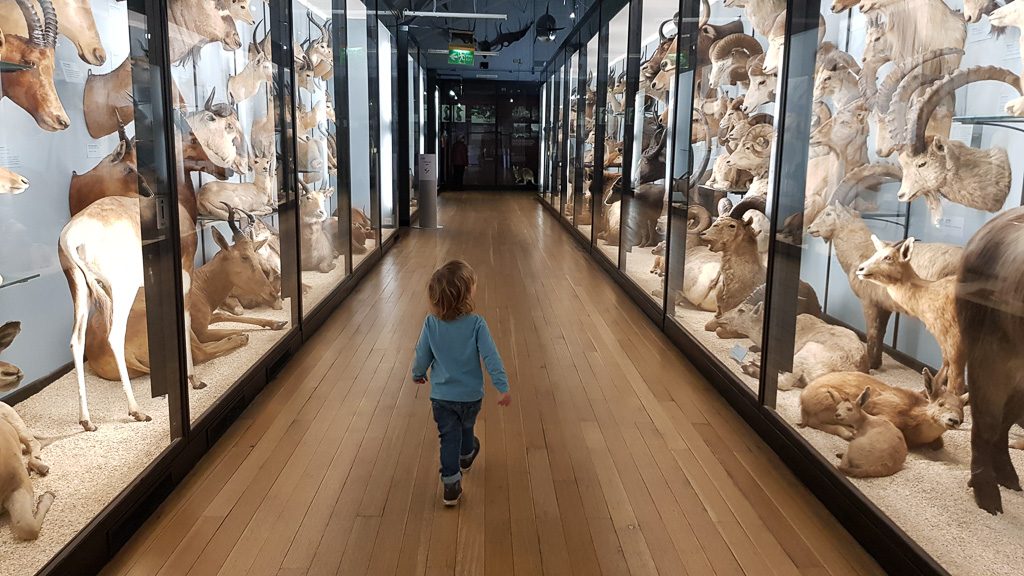 The Best Natural History Museums Around the World 7
