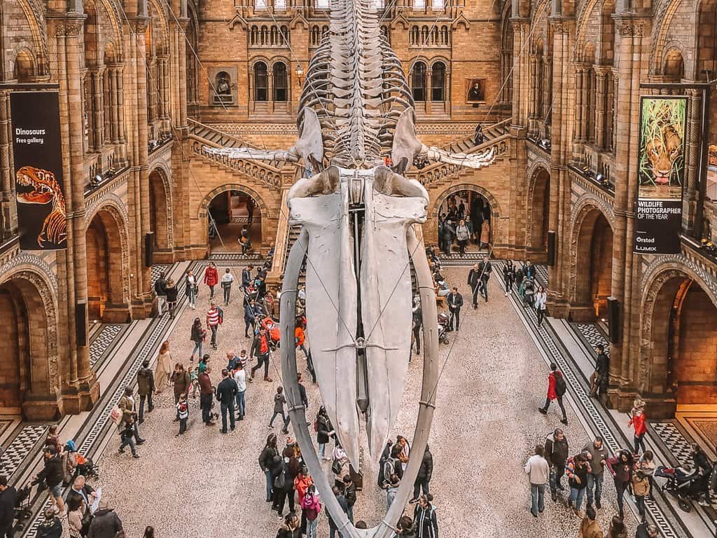 The Best Natural History Museums Around the World The Travelling Twins