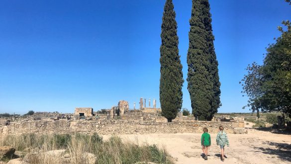 Day trip to Meknes and Volubilis (by bus and hitchhiking) 7
