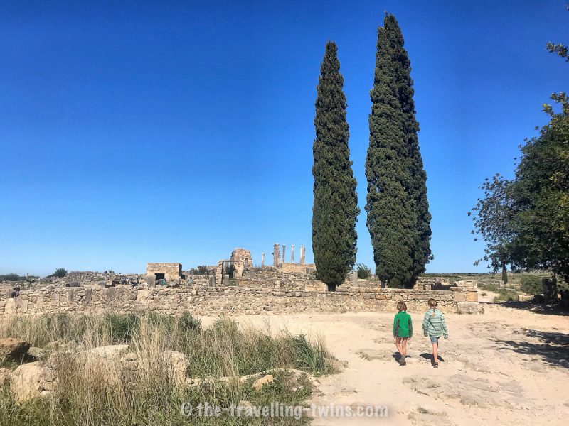 Day trip to Meknes and Volubilis (by bus and hitchhiking) 5