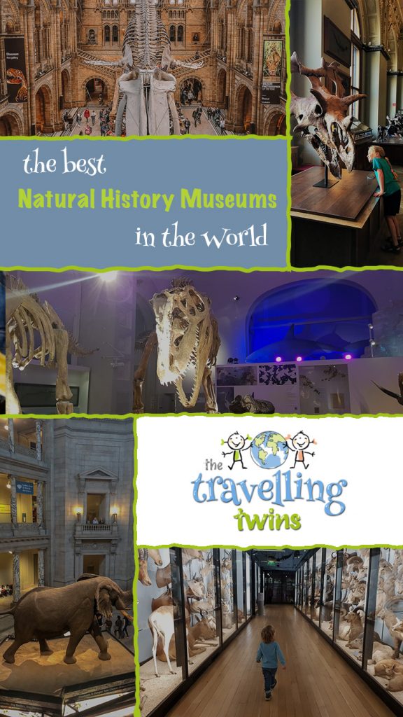 the Best Natural History Museums in the World