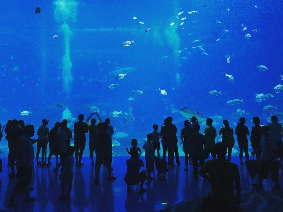 Zhuhai Aquarium