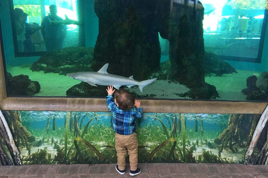 kid in aquarium