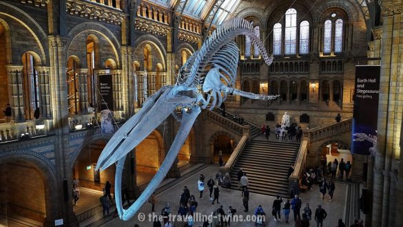 Best Free London Museums for Kids 7