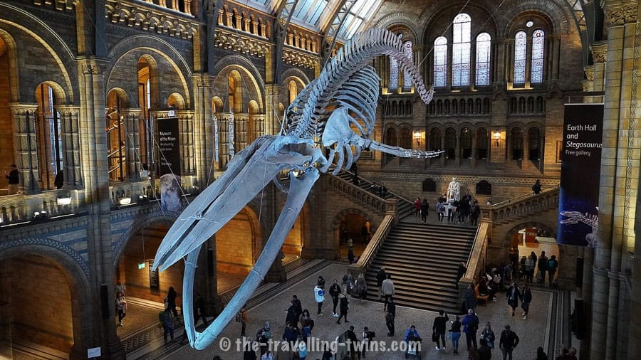 Best Free London Museums for Kids 15
