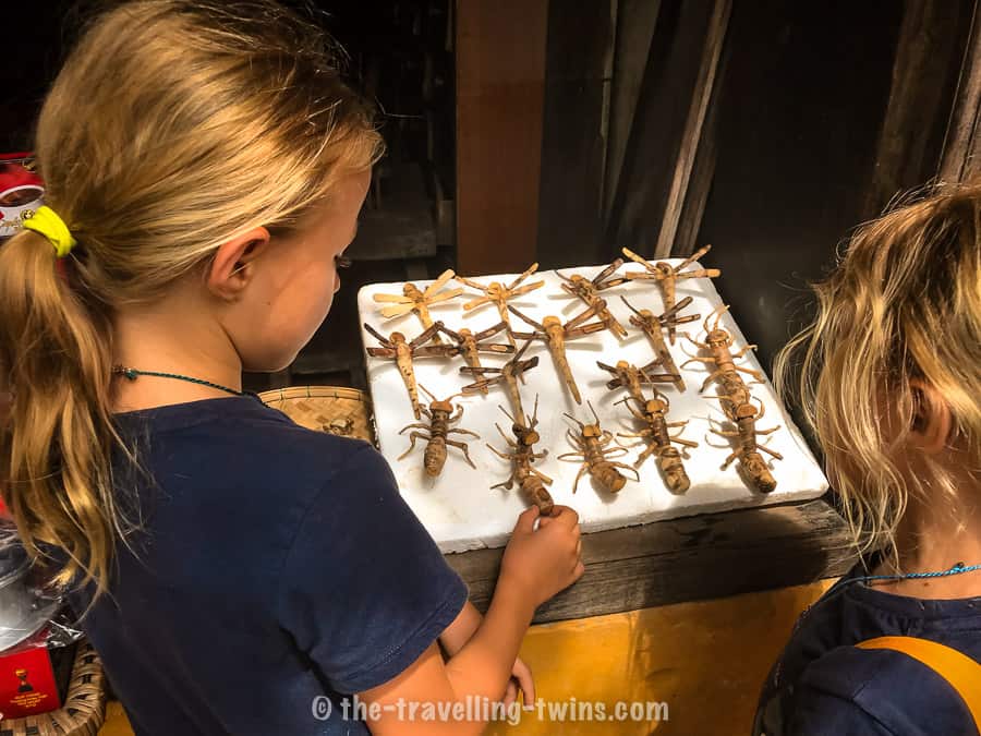 girls souvenir shopping and looking at the dragon flies in ho chi minh city. these dragon flies makes perfect easily find gift 
ling product items