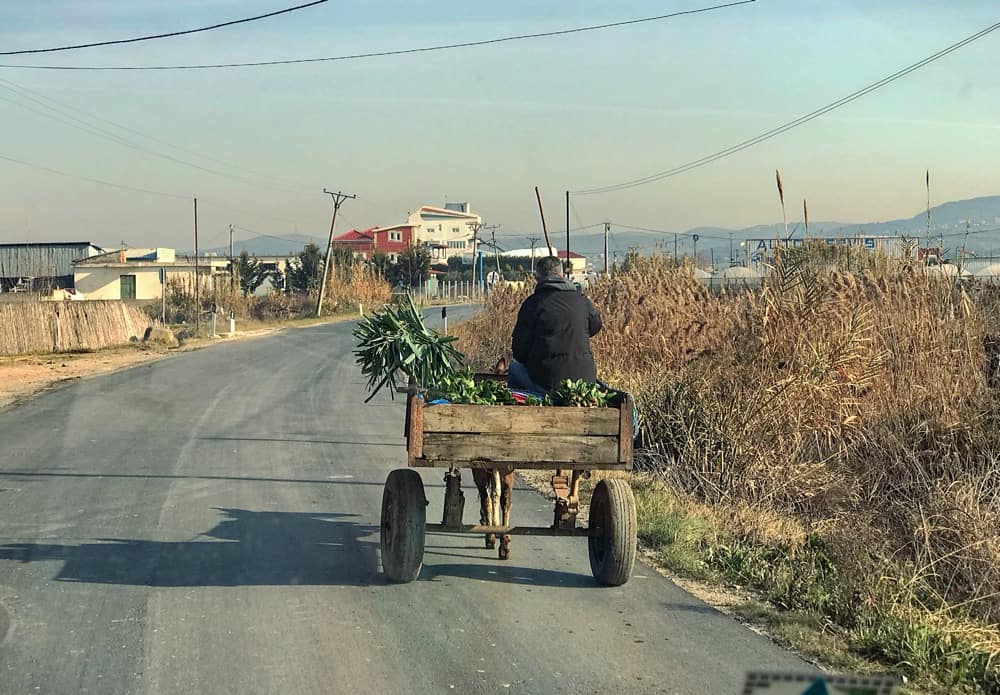 Albania roads - donkey are still working force  - photo taken close to lake ohrid