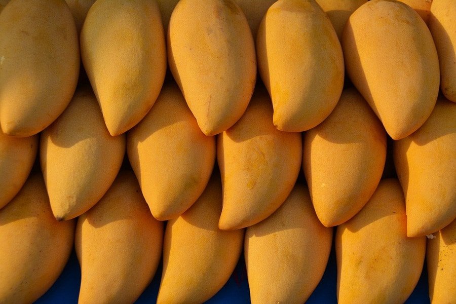 mango - bardzo popularny najsłodszy owoc z Azji Wschodniej, najlepiej spożywany na surowo, dobry do lodów wegańskich
