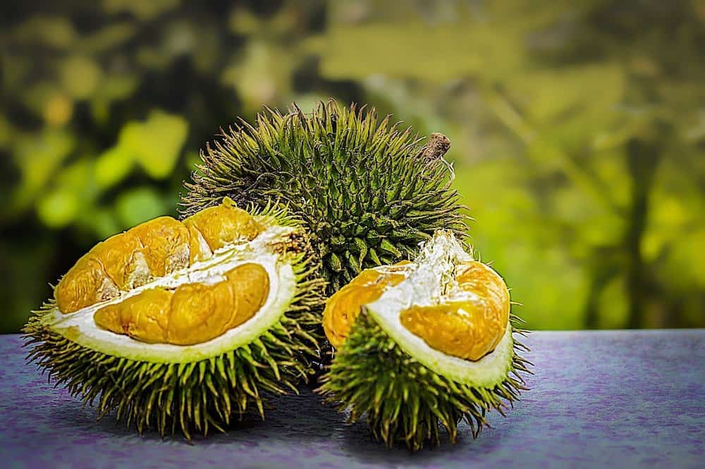 durian is the most smelly tropical fruit asian fruit. i hate durian eating it was the worst experience ever