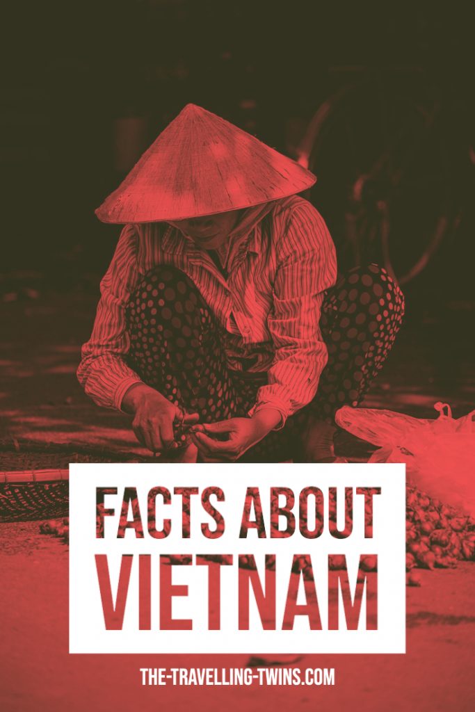 Vietnam Souvenirs 5