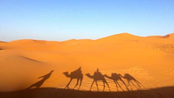 Facts about the Sahara Desert 25