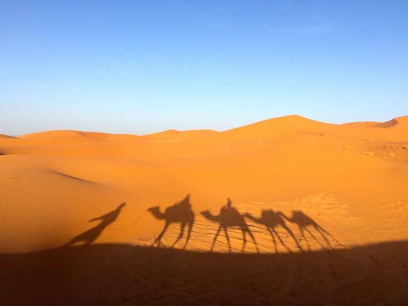 Facts about the Sahara Desert 3