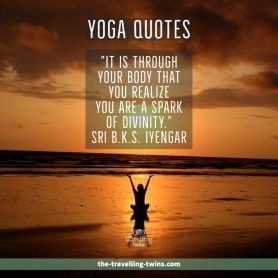Yoga Quotes – The Travelling Twins