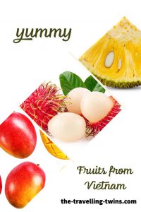 Fruits from Vietnam: Vietnamese Fruits and their nutritional benefits 6