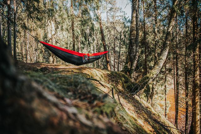 hammock, camping, forest